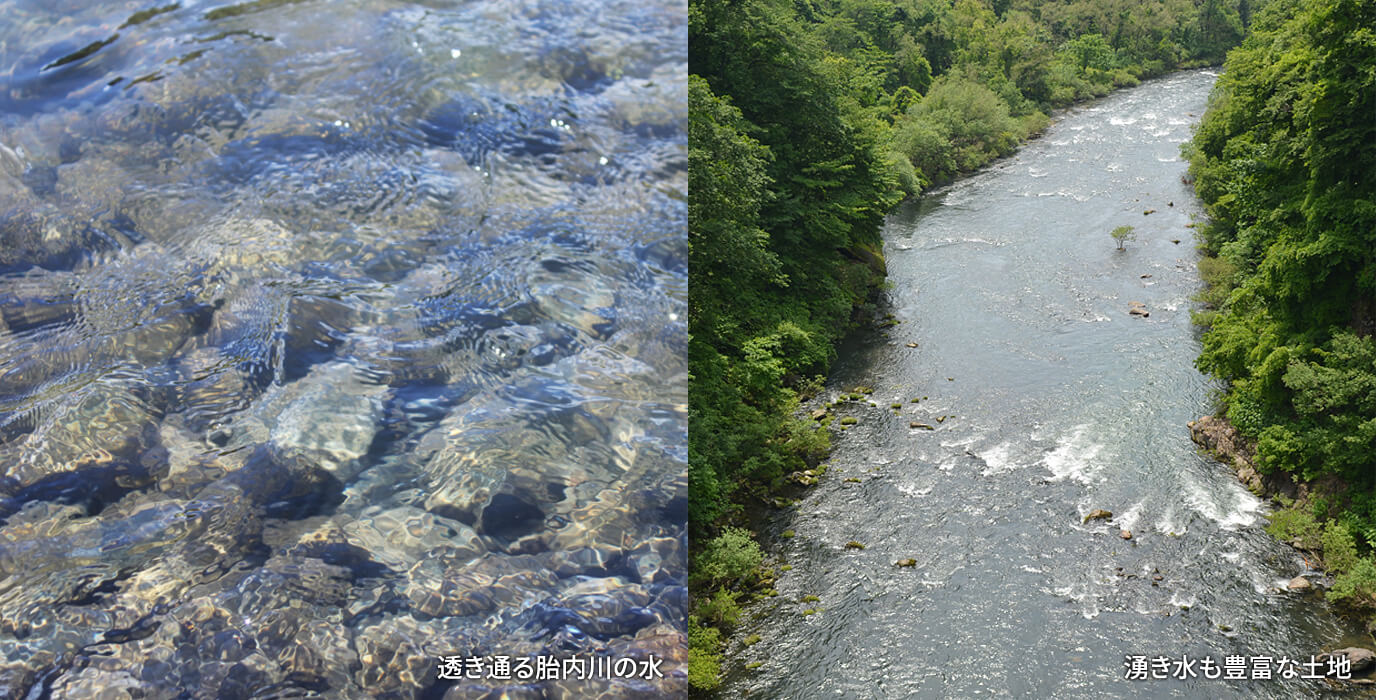 胎内川の水