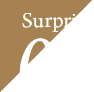 Surprise02
