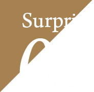 Surprise03