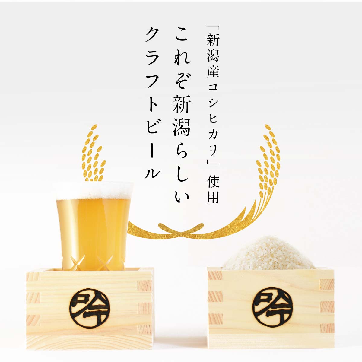 「新潟産コシヒカリ」使用これぞ新潟らしいクラフトビール